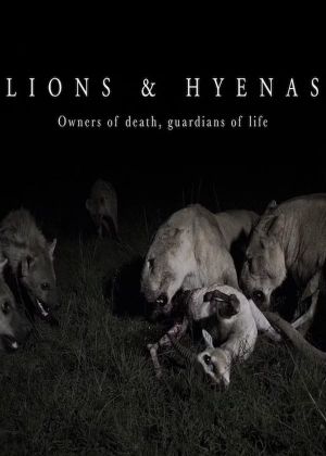 Lions and Hyenas: Owners of Death, Guardians of Life's poster image