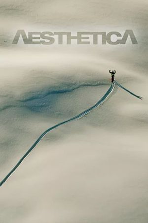 Aesthetica's poster
