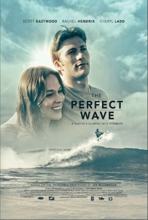The Perfect Wave's poster