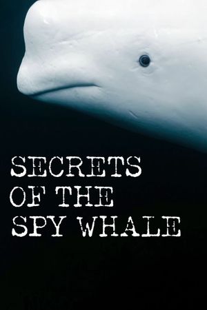 Secrets of the Spy Whale's poster