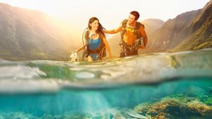 Love in Tahiti's poster