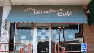Bluebird's poster
