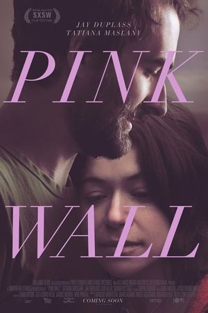 Pink Wall's poster