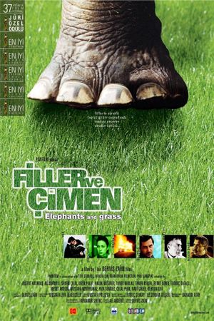 Elephants and Grass's poster
