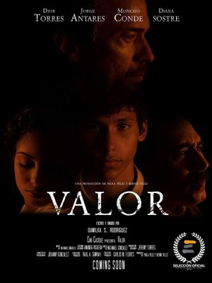 Valor's poster