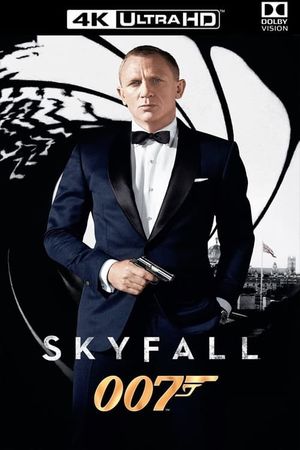 Skyfall's poster