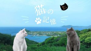 Itoshima Movie: Cat's Memory's poster