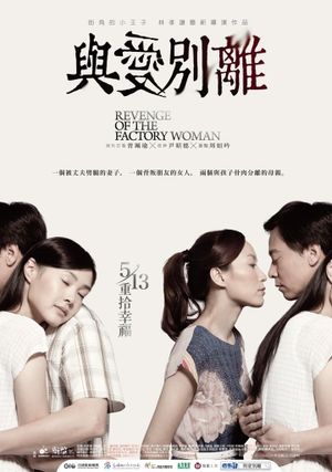 Revenge of the Factory Woman's poster image