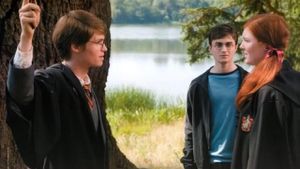 Harry Potter and the Order of the Phoenix's poster