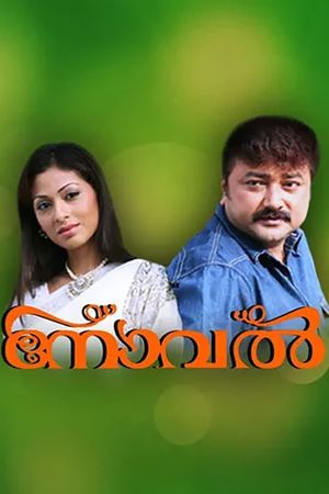 Novel's poster