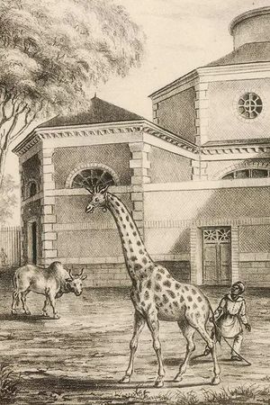 Night Falls on the Menagerie's poster image
