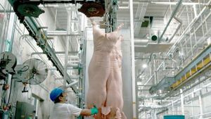 Production Line Animals's poster