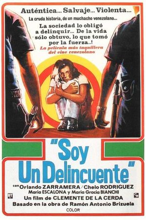 I Am a Delinquent's poster