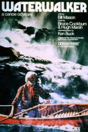 Waterwalker's poster