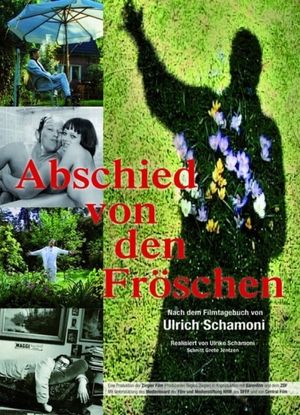 Abschied von den Fröschen's poster