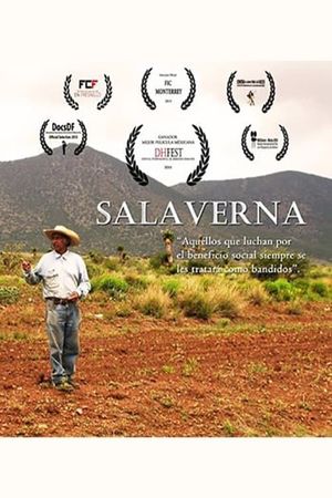 Salaverna's poster image