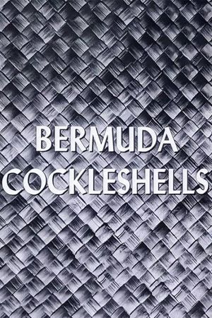 Bermuda Cockleshells's poster