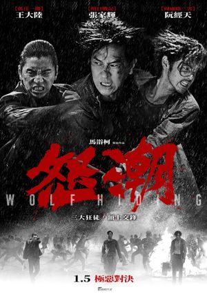Wolf Hiding's poster
