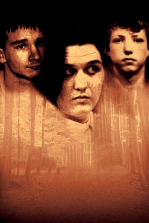 Paradise Lost: The Child Murders at Robin Hood Hills's poster