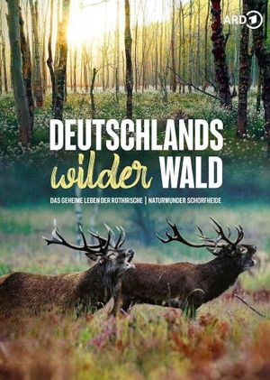 Das geheime Leben der Rothirsche's poster