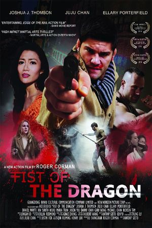 Fist of the Dragon's poster image