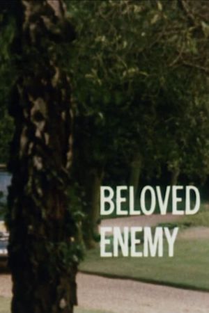 Beloved Enemy's poster