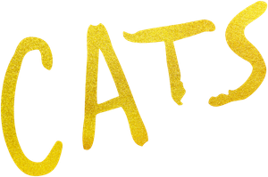 Cats's poster