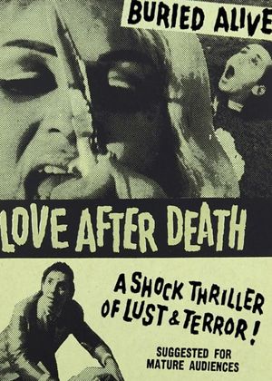 Love After Death's poster