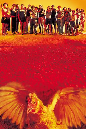 City of God's poster
