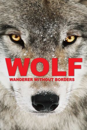 Wolf's poster