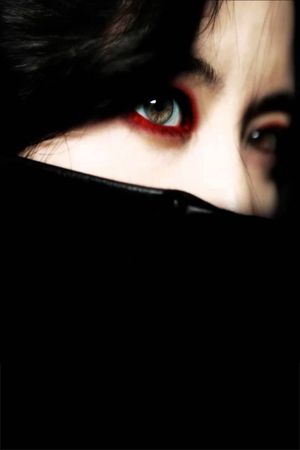 Lady Vengeance's poster