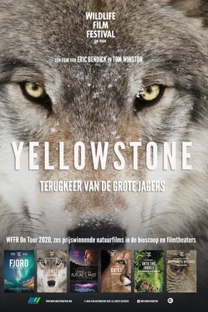 Yellowstone's poster