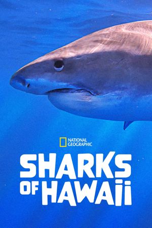 Sharks of Hawaii's poster