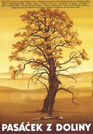 The Little Shepherd Boy from the Valley's poster