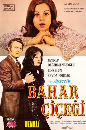 Aysecik: Bahar Çiçegi's poster