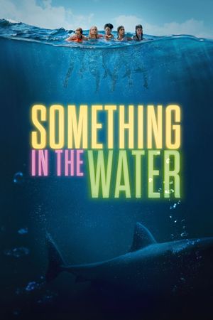 Something in the Water's poster