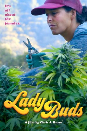 Lady Buds's poster