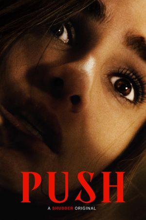 Push's poster