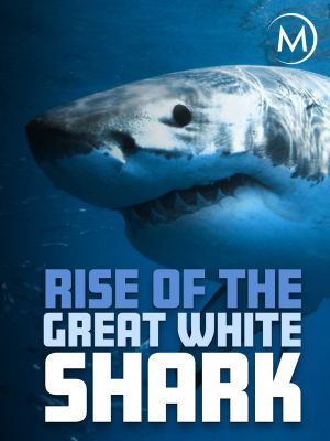 Rise Of The Great White Shark's poster