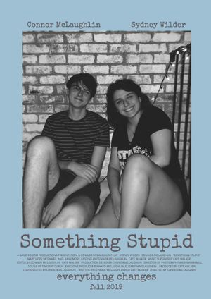 Something Stupid's poster image