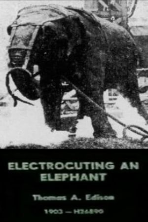 Electrocuting an Elephant's poster image