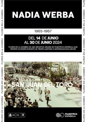 San Juan del Toro's poster