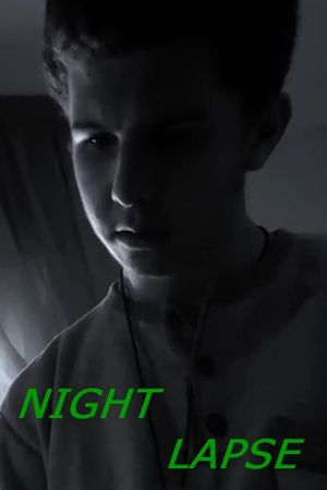 Night Lapse's poster