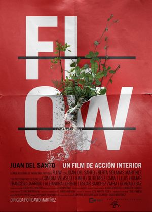Flow's poster