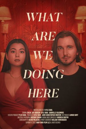 What Are We Doing Here's poster image