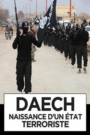 Daech, naissance d'un Etat terroriste's poster image