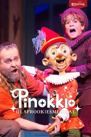 De Sprookjesmusical - Pinokkio's poster