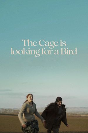 The Cage Is Looking for a Bird's poster