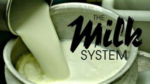 The Milk System's poster