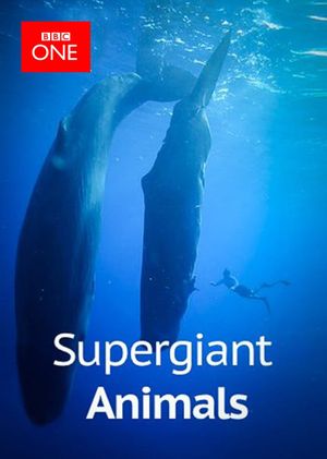 Supergiant Animals's poster